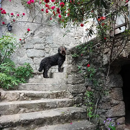 Tatil Evi Le 1739 La Coste